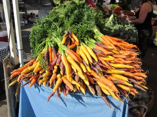 Beautiful carrots at the farmers market