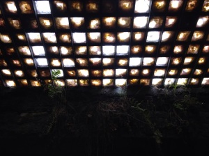 underground skylight from below
