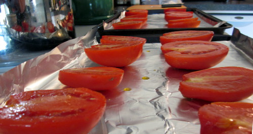 Roasted tomatoes before