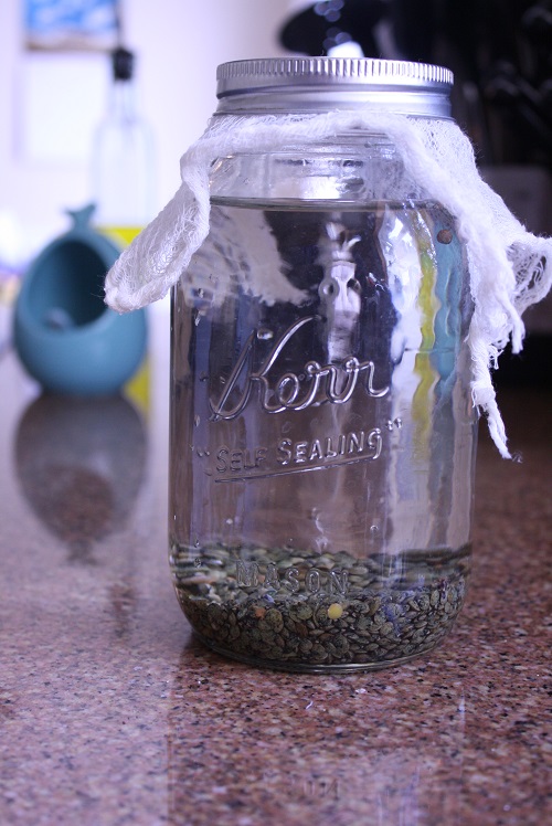 lentils in jar